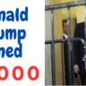 Donald Trump Fined
